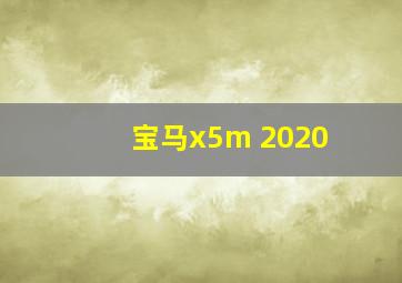 宝马x5m 2020